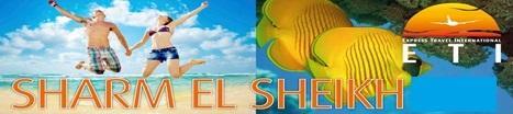 Garden Reef) 4* SHARM PLAZA all inclusive deluxe szoba RED SEA HOTEL (Far Garden Reef) 4+*SIVA SHARM all