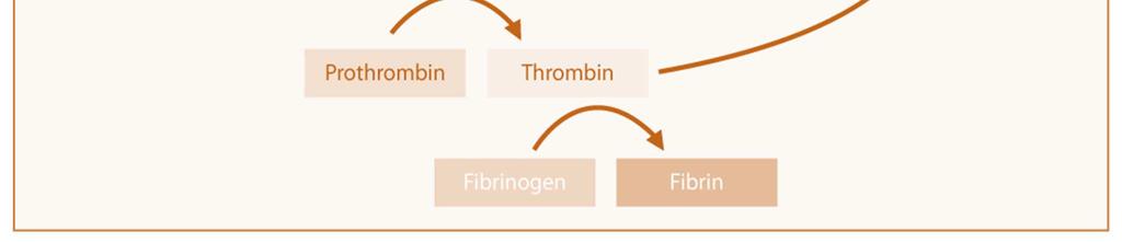 cytochalasin D