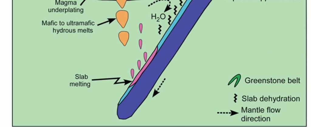 through partial melting of mafi c lower crust at the base of an