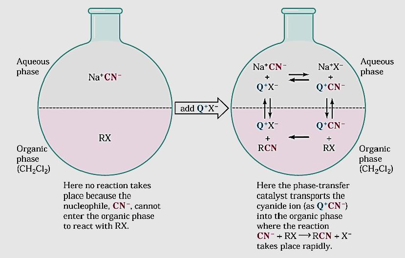 Phase-transfer catalysis of the S N 2 reaction between sodium