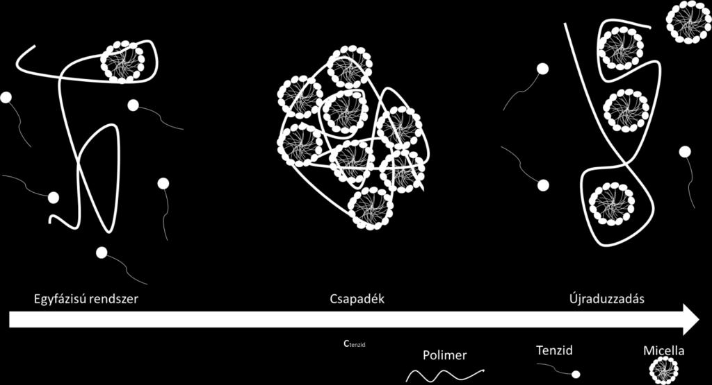 A tenzid molekulák kötődése kompenzálja a polelektrolit töltését ezért a tenzid koncentráció növelésével a keletkező komplex effektív töltése és mérete csökken.
