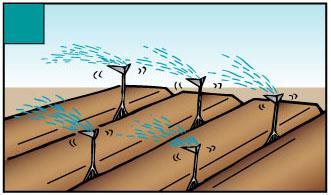 talaj mélyebb rétegeiben tartózkodnak, a Basamidot egy talajmaróval jól bele kell forgatni a talajba 15-25 cm-es