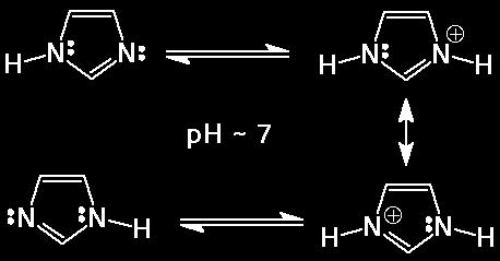 Imidazol Sav és bázis is, a fehérjékben (Hisztidin) puffer szerepet tölt