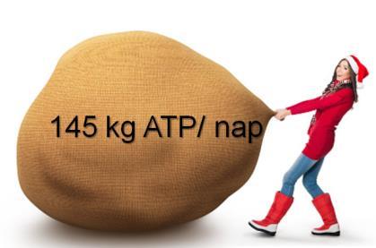 A napi 140 160 g glükóz többsége ATP-vé alakul és így hasznosul a sejtekben. Aerob körülmények között 1 mol Glc (glükóz) mintegy 38 mol ATP eredményez.