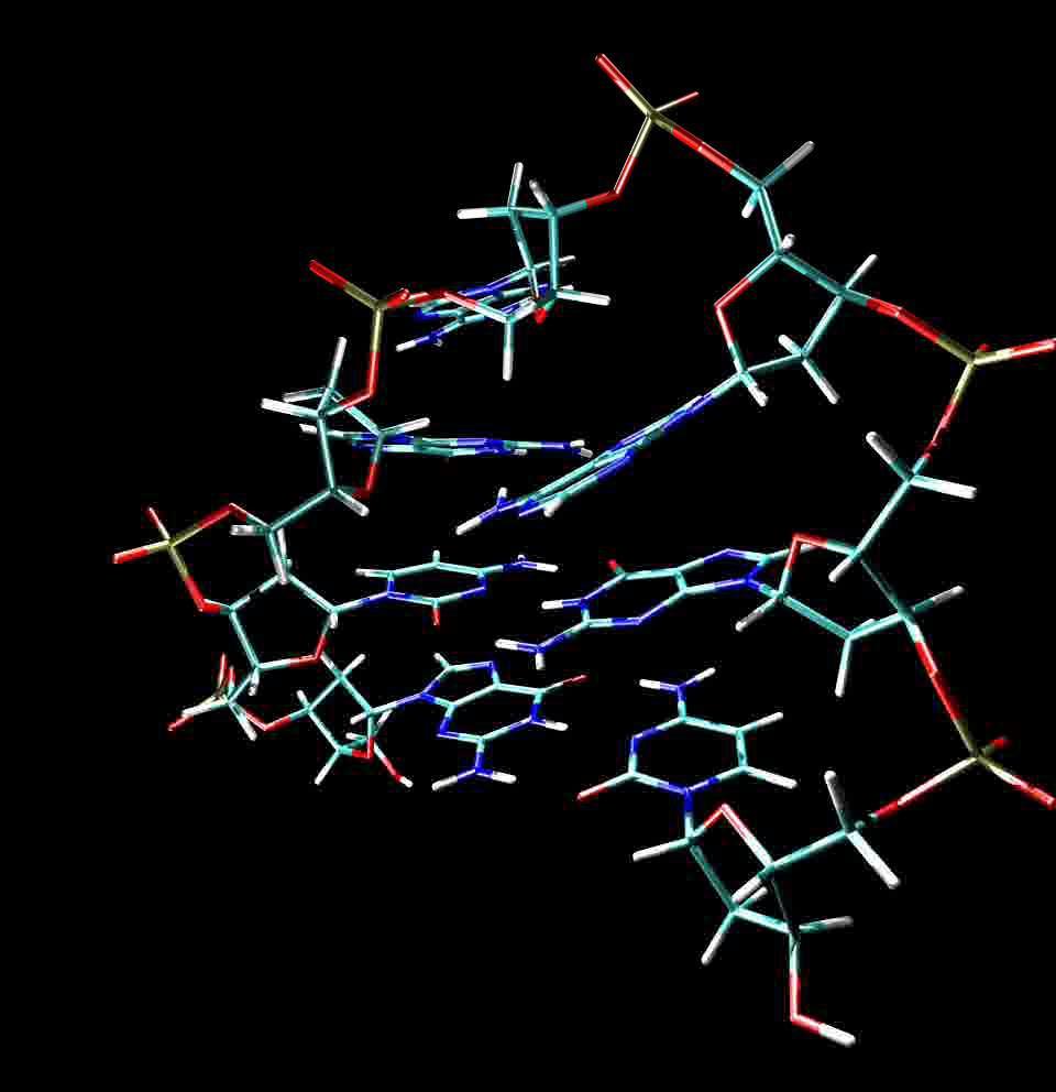 2) DS- RS építőelemek memo: nucleus = sejtmag A nukleinsavak két fő fajtája a - dezoxiribonukleinsavak (DS) - ribonukleinsavak (RS) - savanyú jellegű (híg lúgban oldódó), nagy molekulasúlyú polimer