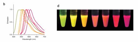 IAF IAEDANS PIRÉN példák: IAEDANS-IAF: FRET donor-akceptor pár Pirén: aktin polimerizáció fluoreszcein, dansyl, rhodamine száramzékok.