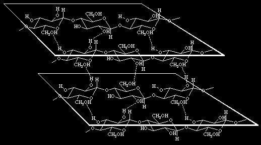 vízoldhatatlan cellulóz réteg 2 cellulóz részlete (1->4) glikozidkötés 2 cellulóz