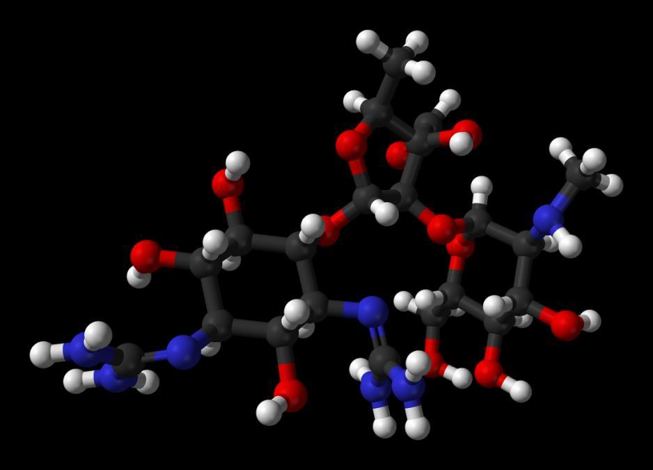 8.) Szénhidrát antibiotikumok: a sztreptomicin