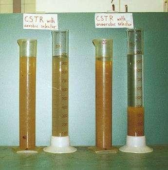 2.5.2 Biológiai tőbbletszén eltávolítási eljárás (EBCR) alapjai A BME Alkalmazott Biotechnológia és Élelmiszertudományi Tanszék Szennyvíztisztítási Biotechnológiák Kutatócsoportja megfogalmazott és