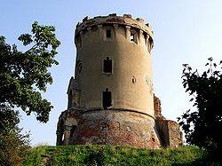 Petőfi) - Ruinele castelului din Ardud -