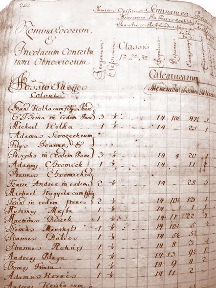 Nitrianska Blatnica v rokoch 1711-1848 Daňový súpis obce z roku 1753 (ŠAN). Obr. 2 pastieri oviec a dobytka.