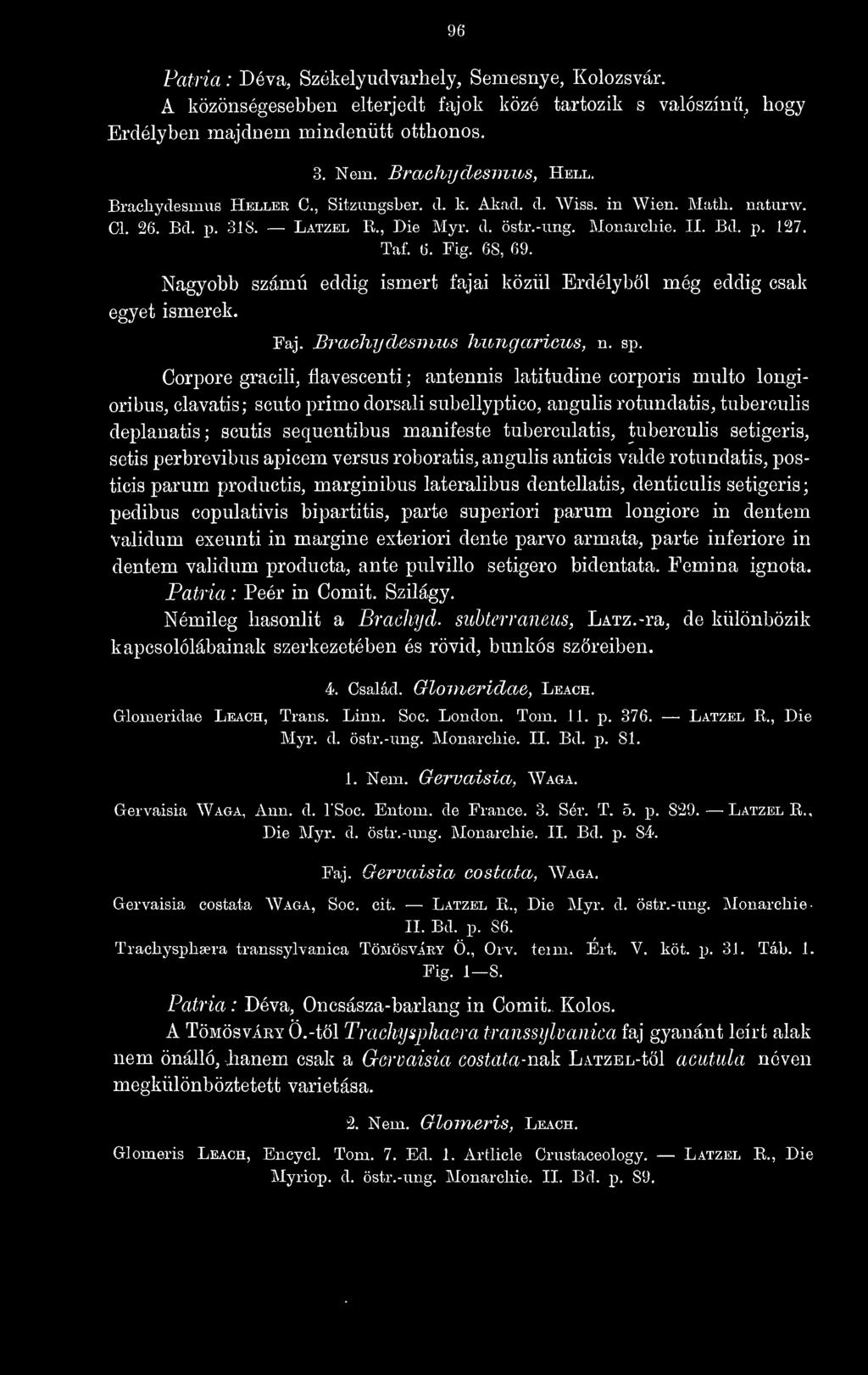 Nagyobb számú eddig ismert fajai közül Erdélybl még eddig csak egyet ismerek. Faj. Braohydesmus hungaricus, n. sp.