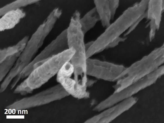 nanorészecskékel borított zafír hordozóra Zn és ZnO porok keverékéből 950 C-on (4. ábra/a, [71]).