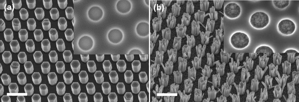 Miután a szeletekre terített lakkban elkészítettem a hatszöges mintázatot 700 nm-es nanogömbökkel, a mintákat 10 mm-os nedves kémiai ZnO növesztő