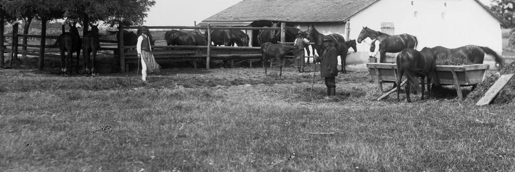 A szűkebben értelmezett udvar általában 100-150 négyszögöles.