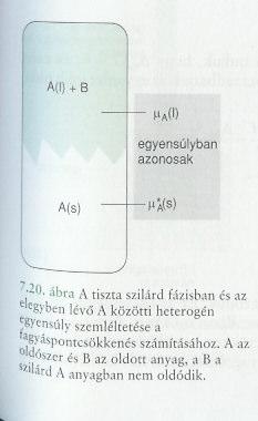 Fagyásont-csökkenés vizsgált termodinamikai rendszer: - komonensek: + oldott anyag(ok) - fázisok: folyadékfázis + szilárd fázis egyensúly - korlátozás: az oldott anyag nem lé a szilárd fázisba