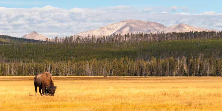 nap Reggeli után városnézés az "egy mérföld magasan fekvő" Colorado aranyáról híres városban, amely a XIX.