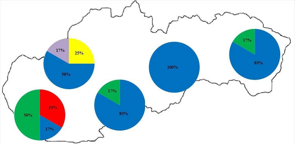 összeállított publikáció részletesen bemutatja a Szlovákiában megtalálható legfőbb VC csoportokat.