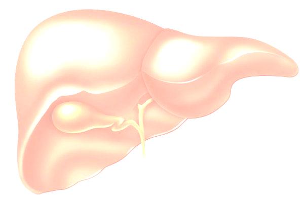 Zsírsav-albumin triglicerid zsírsav ZSÍRSZÖVET Hormonszenzitív lipáz