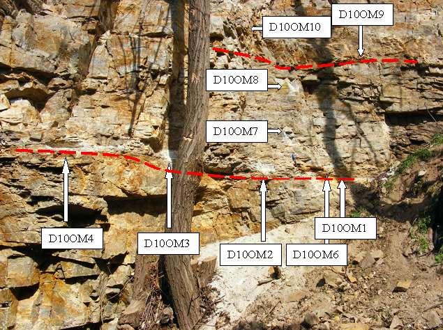 12. ábra. Az Obszervatórium mögötti sziklafalban található mállott, limonitos rétegek (piros szaggatott vonallal) és a főbb mintavételi pontok a minták nevével. Ahogy a 12.
