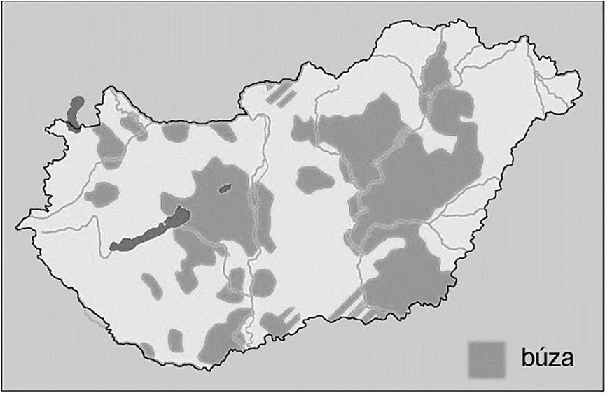 4. Az óceán hatására a közelemben lévő kikötők fagymentesek. a) András b) Béla c) Csaba d) egyik sem 5.