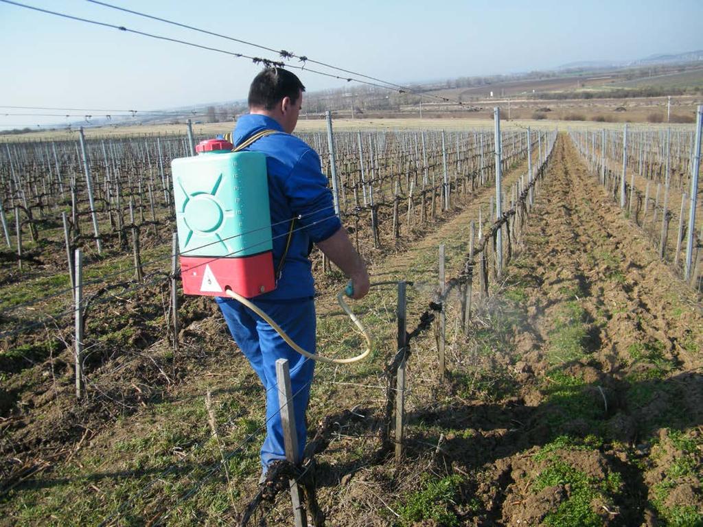 szerekre. A szőlő tőkebetegségek szabadföldi kezelésének legfőbb módja a kórokozók metszési sebeken keresztüli bejutásának megakadályozása.