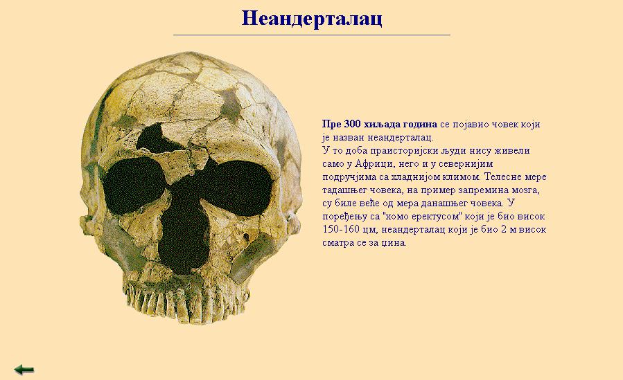 hu/tart/cikk/ea//9424/1 neanderk.gif : http://www.people.virginia.