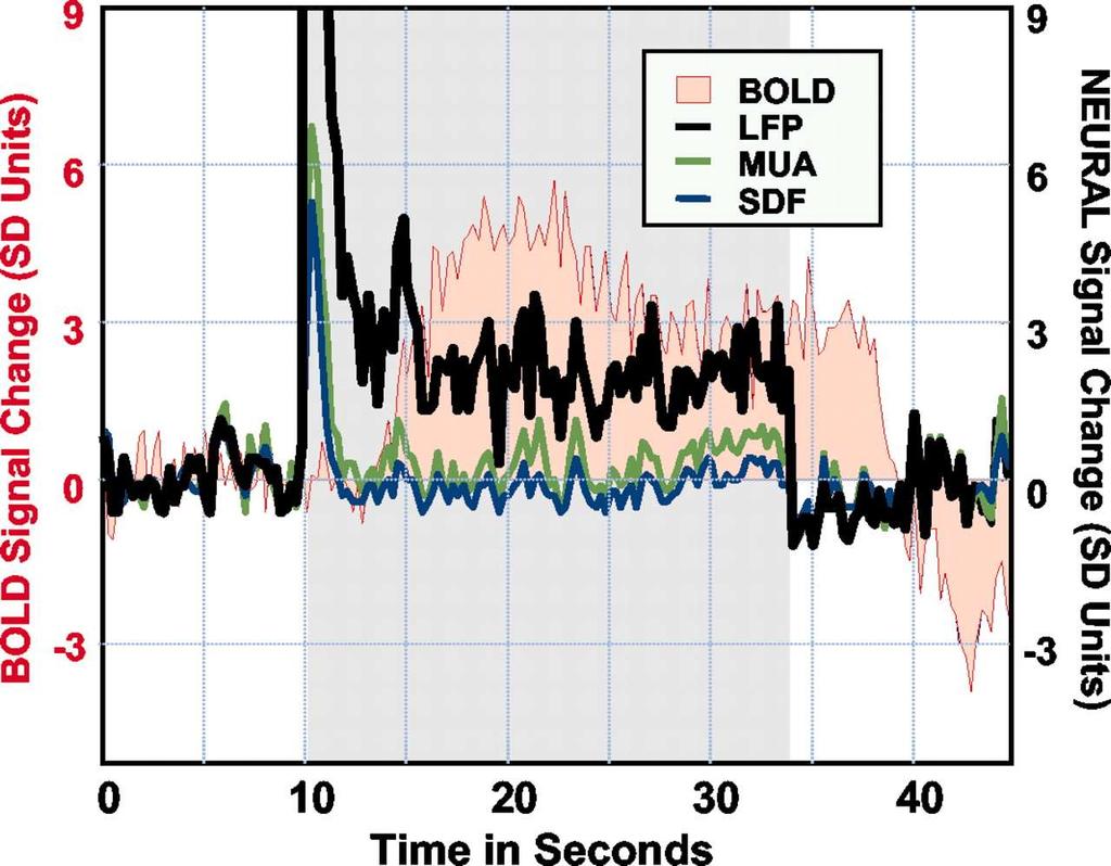 Idegi aktivitás és hemodinamikai (BOLD) változások egyidejű regisztrálása agykéregben BOLD: blood oxygen-level dependent signal LFP: local field potential