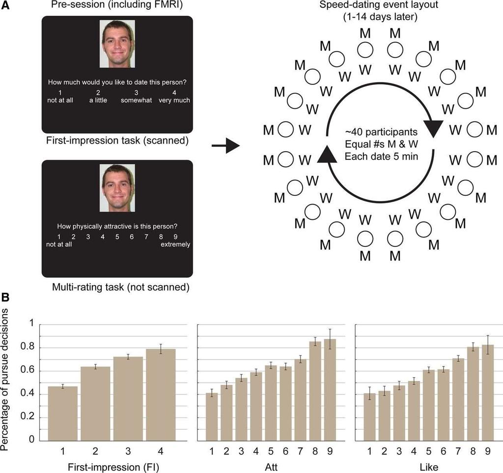 Dorsomedial Prefrontal Cortex Mediates Rapid Evaluations Predicting the Outcome of Romantic Interactions