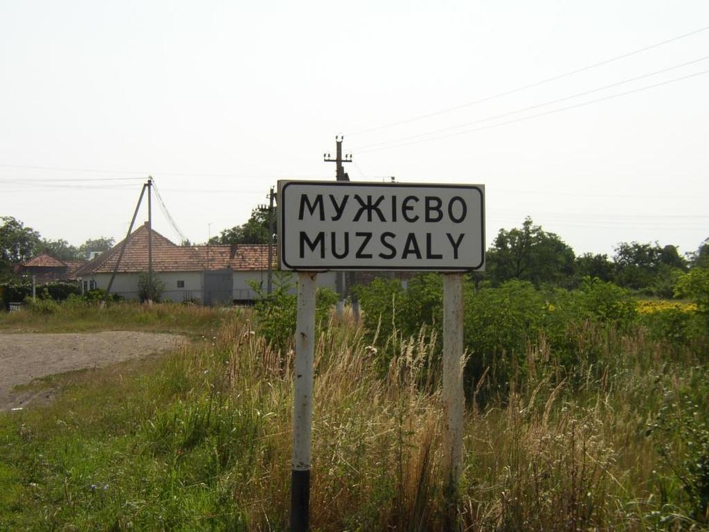 Csernicskó István 647), és ezek a helységnevek jelentek meg a települések határában kihelyezett kétnyelvű táblák magyar feliratán is (Csernicskó, 2013: 317 322).