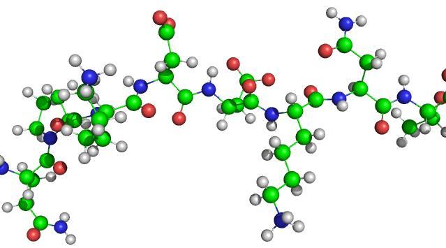 III) A PEPTID