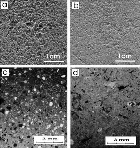 4. ábra. Sóskúti középszemű durva mészkő röntgendiffraktogramja (Ca kalcit, Q kvarc) X-ray diffractogram of medium-grained limestone of Sóskút (Ca-calcite, Q-quartz) 2. ábra. Középszemű (a, c) és finom szemű (b, d) mészkő szövete és csiszolati képe Fabric and microscopic image of medium-grained (a, c) and fine-grained (b, d) limestone 5.