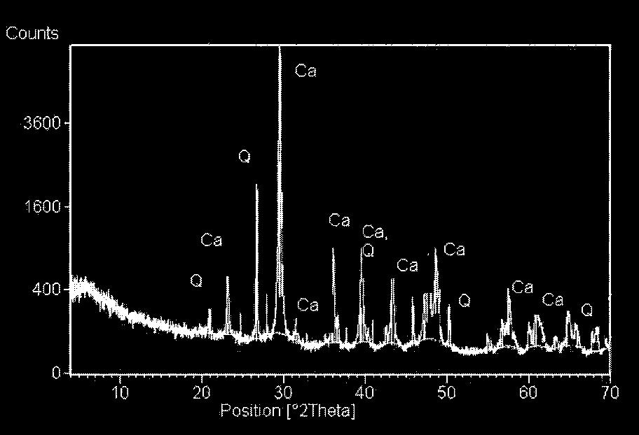 micro-oncoids mikritesebb kalcit, így a kőzetszövet már packstone-nak tekinthető (2d ábra).