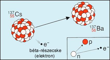 Radioaktív sugárzások kialakulása - A béta-sugárzás akkor keletkezik, ha egy atomban túl sok neutron található.