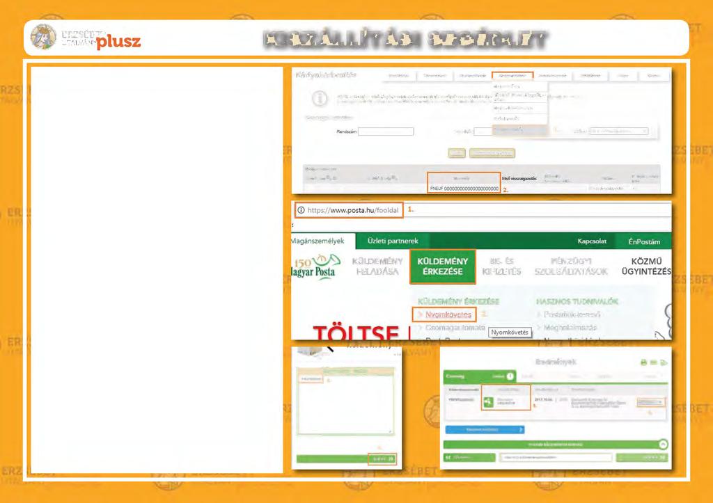 ERZSÉBU I l/talvá NYtf,,1 USZ KISZÁLLÍTÁSI SEGÉDLET 9 Hol találom a megrendelt Erzsébetutalvány Plusz kártyát tartalmazó csomag azonosítószámát? 1.