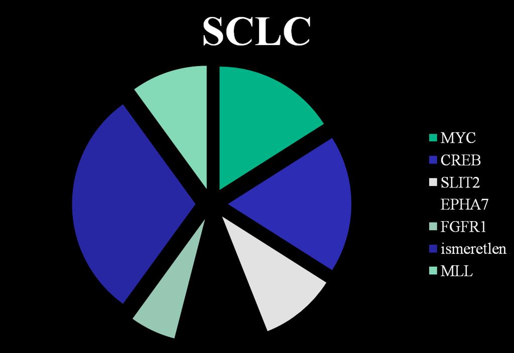 10 16 18 MYCL1: ampl, N-MYC: amp FGFR1: ampl SLIT2: mutáció EPHA7: mutáció