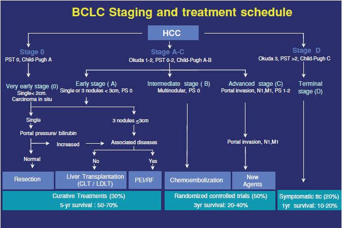 BCLC (Barcelona Clinic Liver Cancer) Biztos jó így? A KRITIKÁK: ása 5.