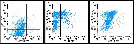 Screen CD15 CD7 CD33 CD19 CD34 CD117 syto40 CD45 B sejtvonal: Syto CD66c CD34 CD19 CD10 CD38 CD20 CD45 CD58 CD123 CD33 CD19 CD10 CD81 Syto40 CD45 ntdt cyigm CD34 CD19 - CD10 CD24 CD21 CD45 cyfxiii-a