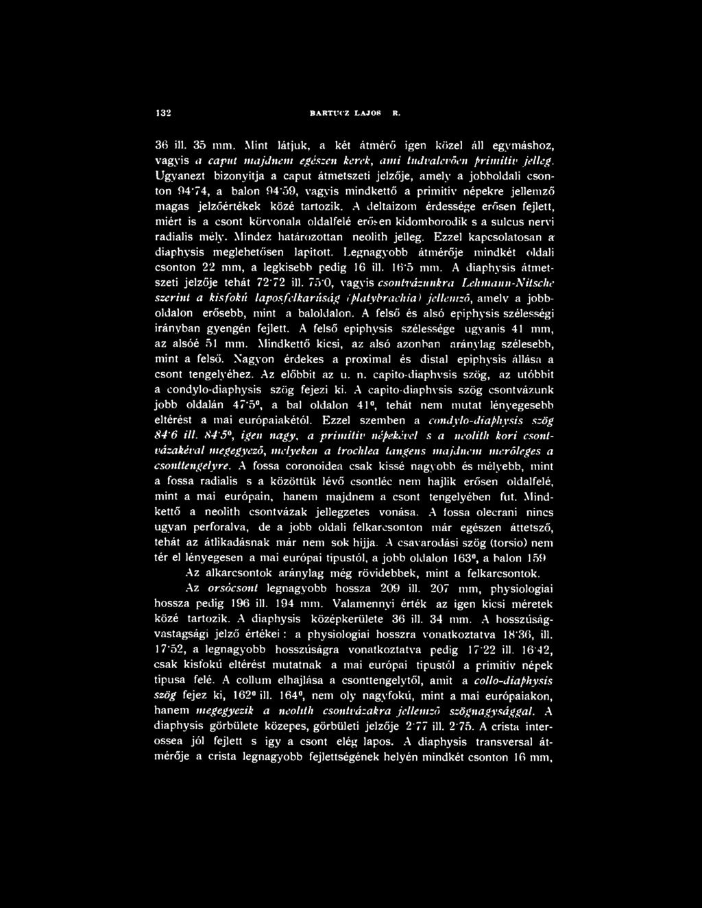 A deltaizom érdessége erősen fejlett, miért is a csont körvonala oldal felé erősen kidomborodik s a sulcus nervi radialis mély. Mindez határozottan neolith jelleg.