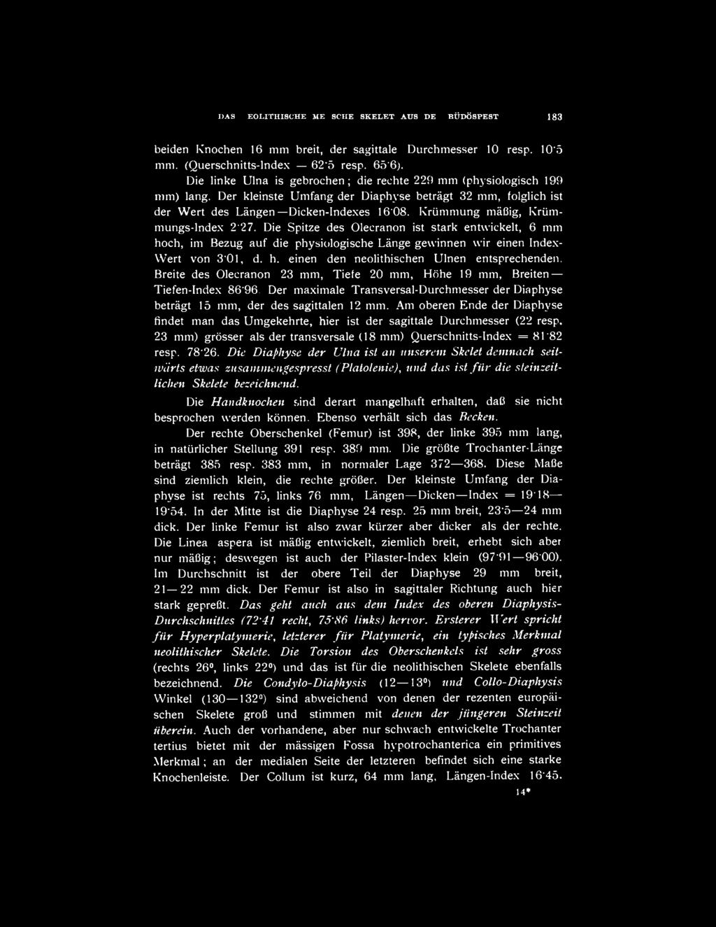 Krümmung máfiig, Krümmungs-lndex 2*27. Die Spitze des Olecranon ist stark entwickelt, 6 mm hoch, im Bezúg auf die physiologische Lángé gewinnen wir einen Index- Wert von 3*01, d. h. einen den neolithischen Ulnen entsprechenden.