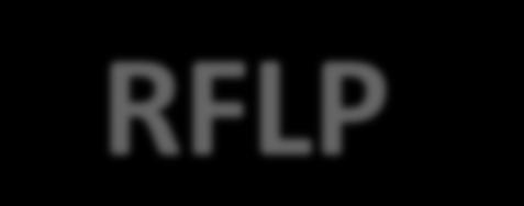 RFLP 19.