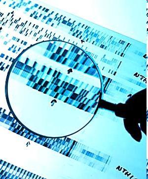 CITOPLAZMA DNS Funkcionális genomika TRANSZKRIPTOM - gén