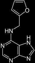 előforduló citokininek 2-iP