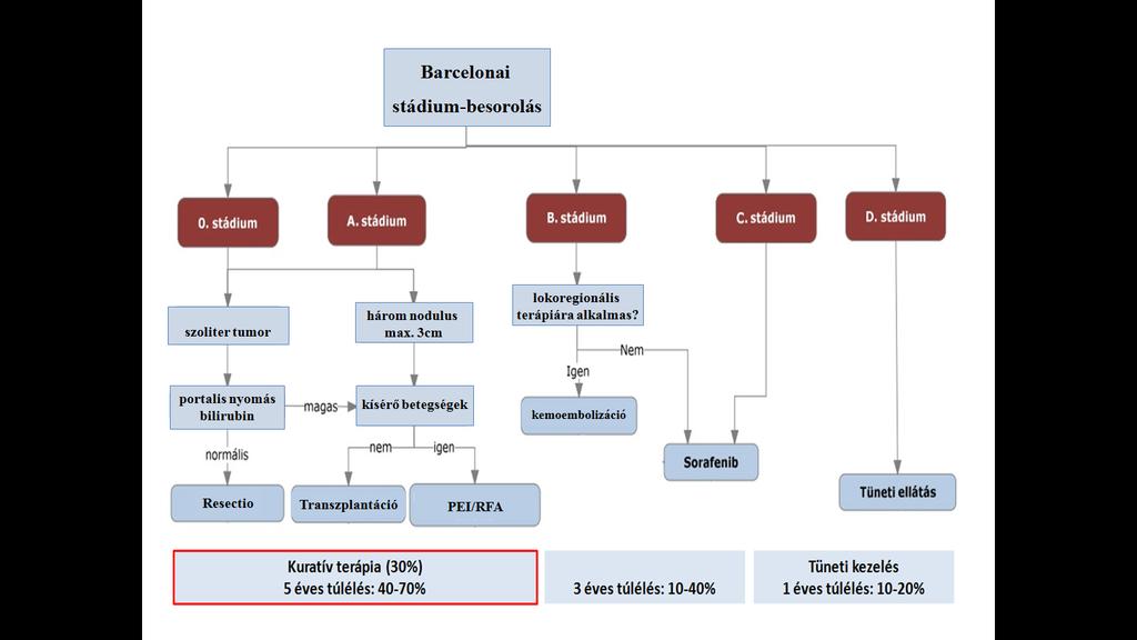 1. ábra Frissített Barcelona-kritériumok, hepatocellularis carcinoma kezelési sémája. (forrás:http://site.oep.