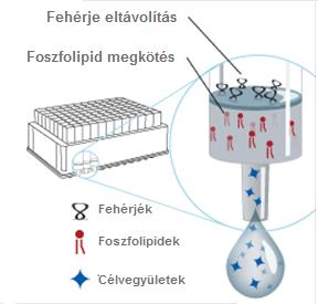 a PhreeTM foszfolipid eltávolító plate-re Zavaró a mátrixhatás? van szüksége. Hogyan működik?