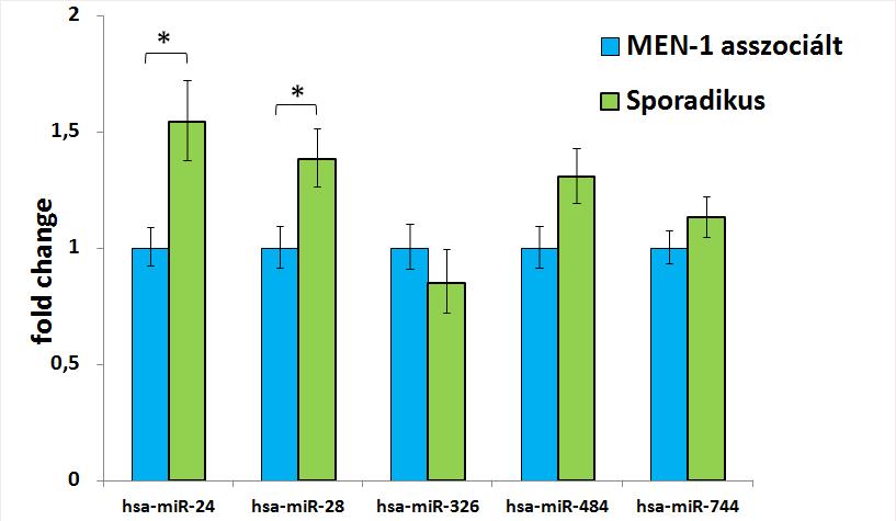 73. ábra A MEN1-asszociált és a sporadikus HPT minták mikro-rns expressziójának összehasonlítása: Szignifikáns a különbség a mir-24 és a mir-28 expressziójában látható (Student-f.