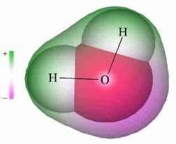 A biorendszerek alkotóelemei: szervetlen vegyületek a víz Az anyagcsere reakciói folyadékfázisban mennek végbe Poláris molekula jó oldószere poláris molekuláknak és ionoknak Az egyik