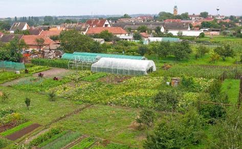 KERTEK Kertünk, mely a pihenés és kikapcsolódás színtere, teremeti meg a kapcsolatot a természettel.