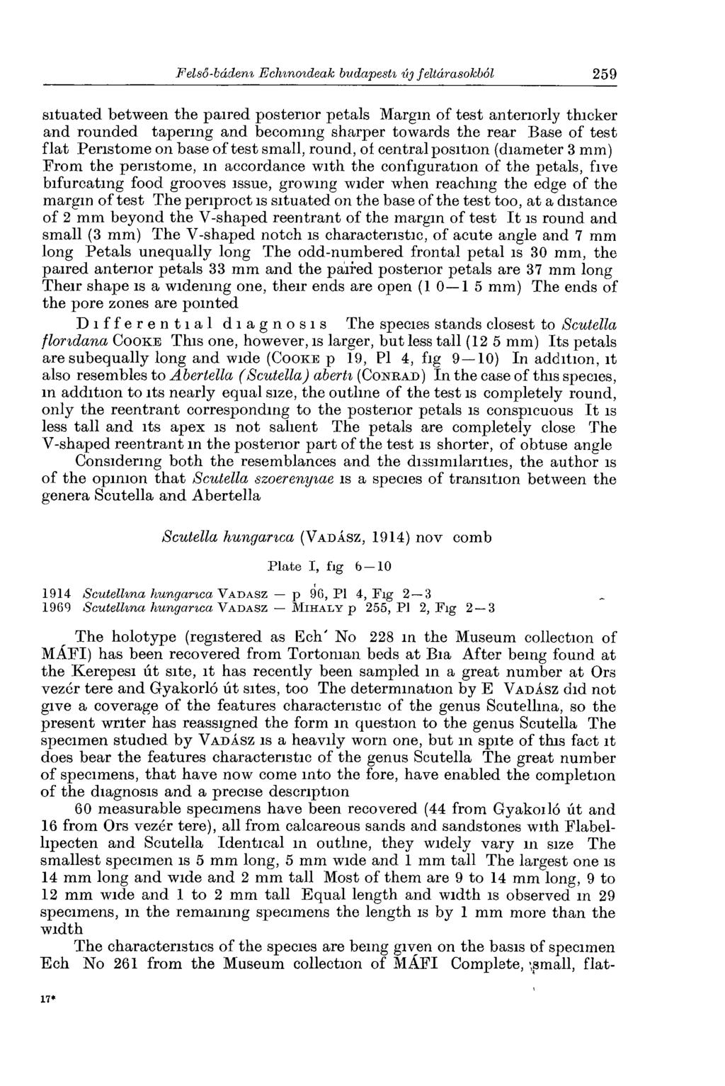 situated between the paired posterior petals Margin of test anteriorly thicker and rounded tapering and becoming sharper towards the rear Base of test flat Peristome on base of test small, round, of