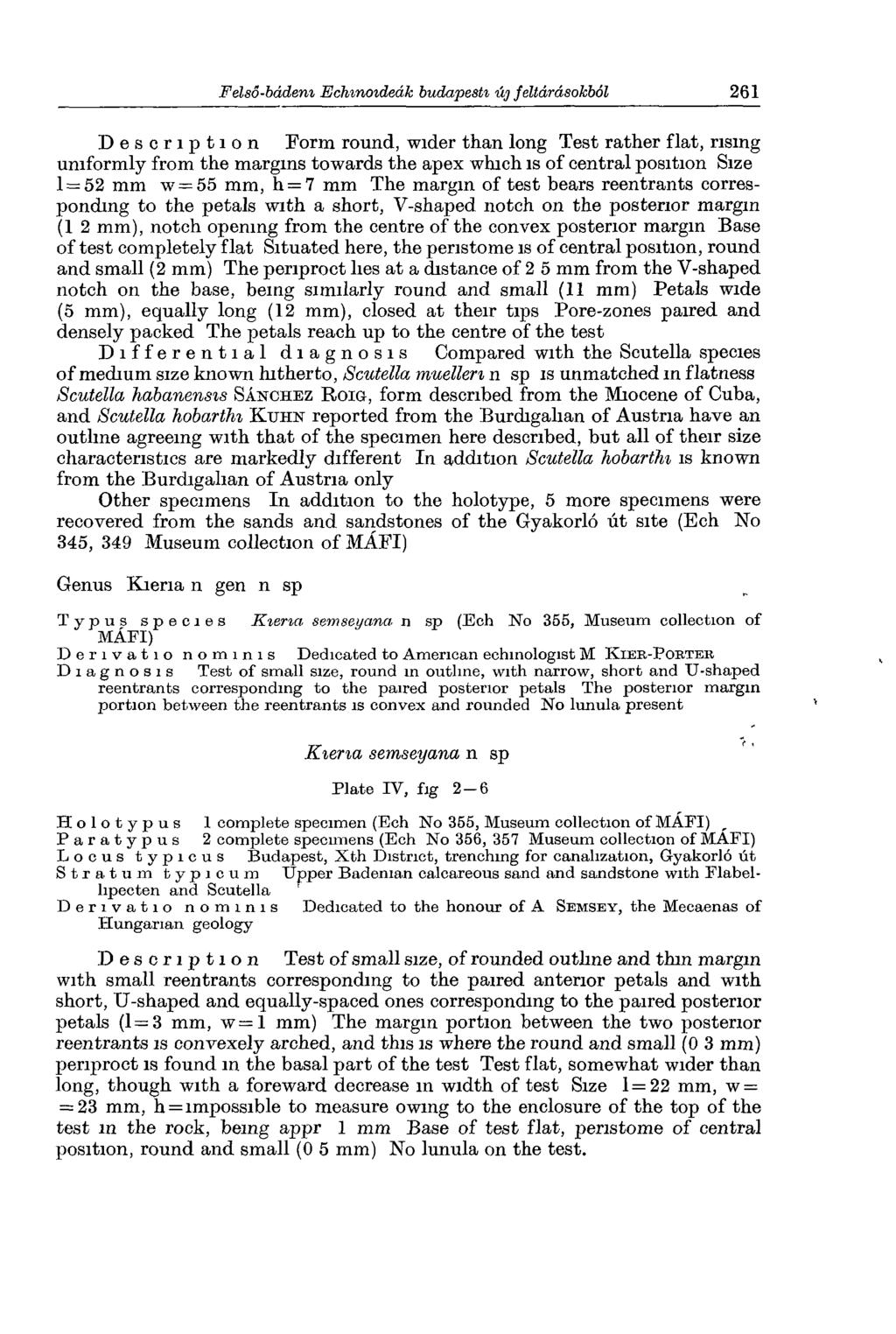 Description Form round, wider than long Test rather flat, rising uniformly from the margins towards the apex which is of central position Size 1 = 52 mm w = 55 mm, h = 7 mm The margin of test bears